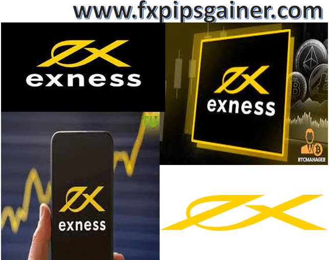 The Ultimate Guide to the Exness Leverage Calculator 3